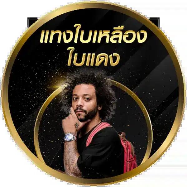 ผลบอลพรีเมียร์ลีก เมื่อคืน ดูสด ครบทุกแมตช์ในเว็บเดียว